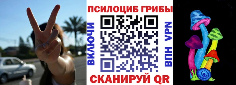купить наркоту ОМГ ОМГ ONION Галлюциногенные грибы мухоморы Жуковский