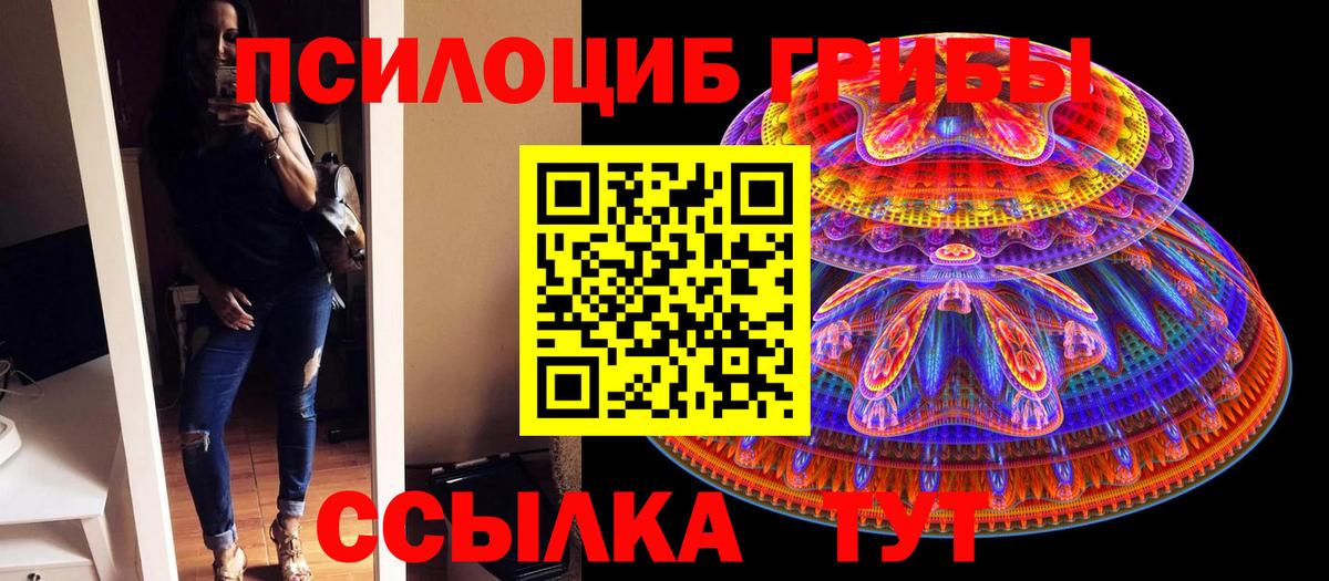 купить наркоту  Вход с VPN  Жуковский  Псилоцибиновые грибы Magic Shrooms 
